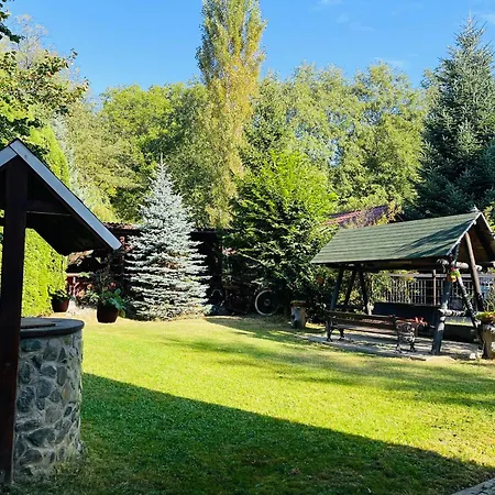 Pensiunea Adelina Guest house