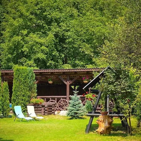 Pensiunea Adelina Guest house *