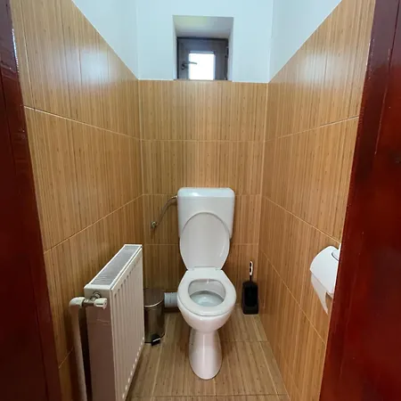 Pensiunea Adelina Guest house *