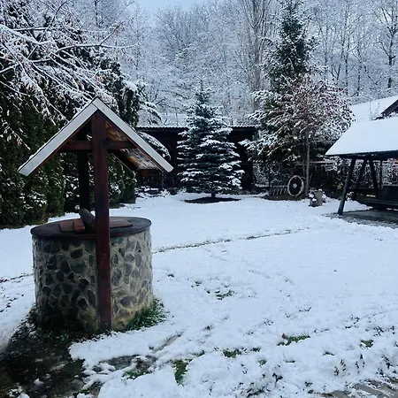 Pensiunea Adelina Guest house