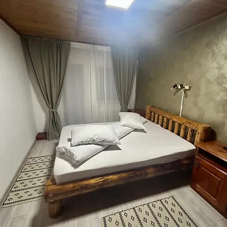Pensiunea Adelina Guest house *